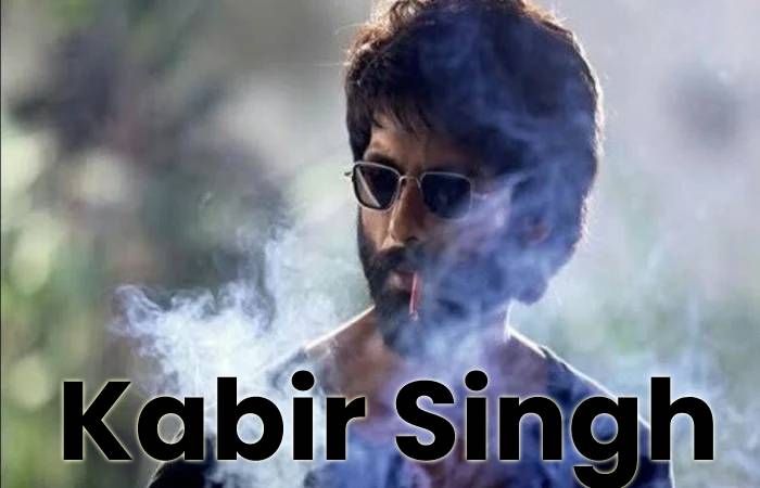 kabir singh 300mb movie download